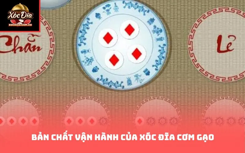 Bản chất vận hành của xóc đĩa cơm gạo